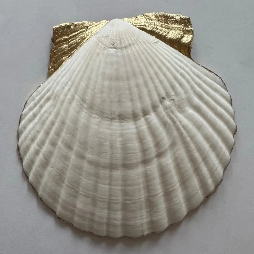 Nautical Anchor Seashell Trinket Jewelry Dish